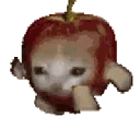 run