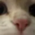 intense_stare