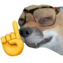 FD_FoxNerd