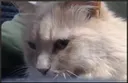 loafSideEye loafSideEye