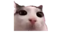 Plinktosis