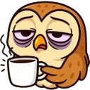 08_owl_morning 08_owl_morning