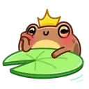 disgruntled_toad_1 disgruntled_toad_1