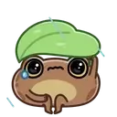 disgruntled_toad_24