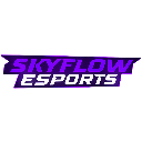 SKYFLOW Discord sticker | SKYFLOW ESPORTS