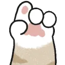 CatNo