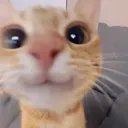 3_
