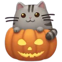 Pumpkinandcat
