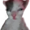 :1370582599222820874: