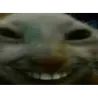 xdd