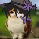 meowl_azure