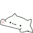 bongo_cat_hype