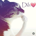 :dihcat: