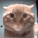 snacked