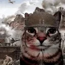 catinwar