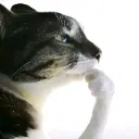 hmm___