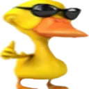 duckok