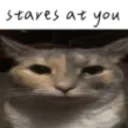 0stares_at_u 0stares_at_u