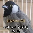 emoji_7