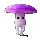amyshroomer