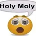 holy_moly holy_moly