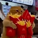 bigbackbigcat