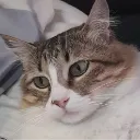ria