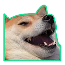 EXITPUMP_DOGEKEK EXITPUMP_DOGEKEK