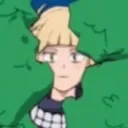 Toga_bush