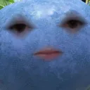 Blueberryme