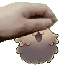 FleaPat