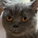 eug