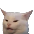 confusedcat