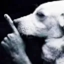 shhh