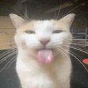 silly Discord emoji