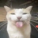 silly silly
