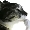 is_this_ragebait is_this_ragebait