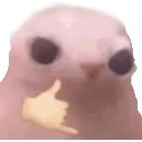 cathehe