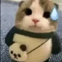 mimimi