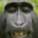 Screenshot2025111471825PM custom emote - Minos Tranquillum 🐠