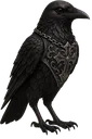 167946blackcrow