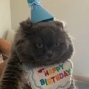 ashbirthday