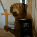 holydog