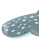 ws1