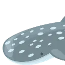 :ws1:
