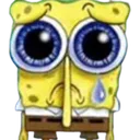 spongesad