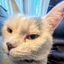 LiliSideEye