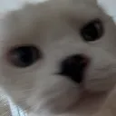 LiliHuh LiliHuh