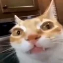 ERM