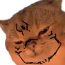 CatKunaEheheheh